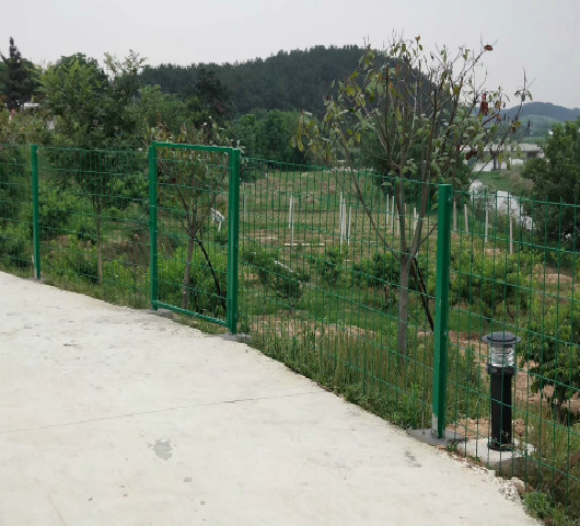 <b>陽(yáng)新水果/蔬菜基地</b>