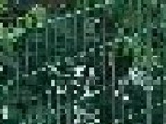 <b>武漢道路護(hù)欄?的種類有哪些？</b>