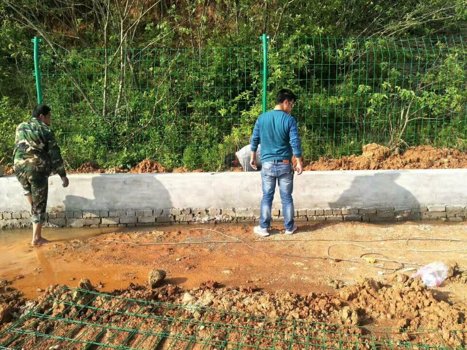 1535599956237389.jpg 1535599956237389.jpg