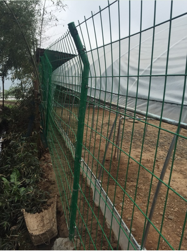 1535599998704610.png 1535599998704610.png