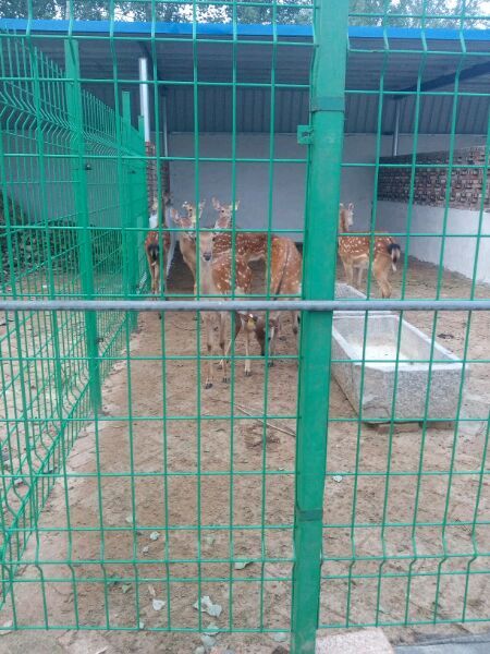 1536116577476447.jpg 1536116577476447.jpg