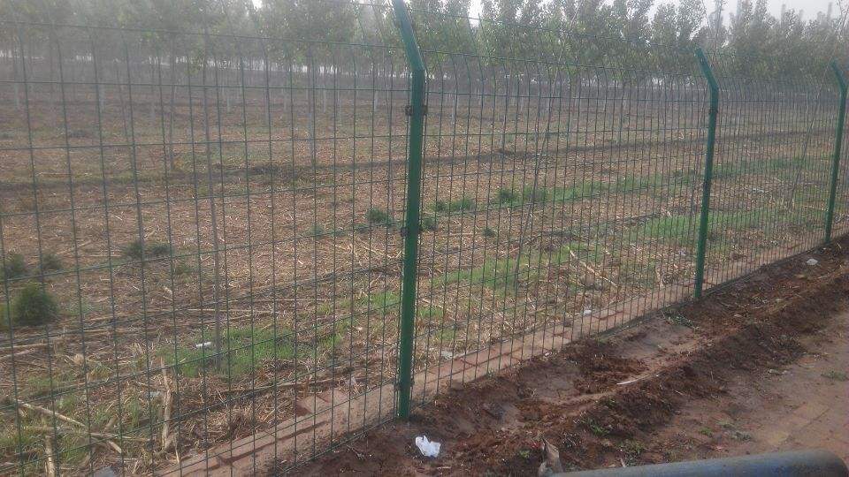 1536194853550156.jpg 1536194853550156.jpg