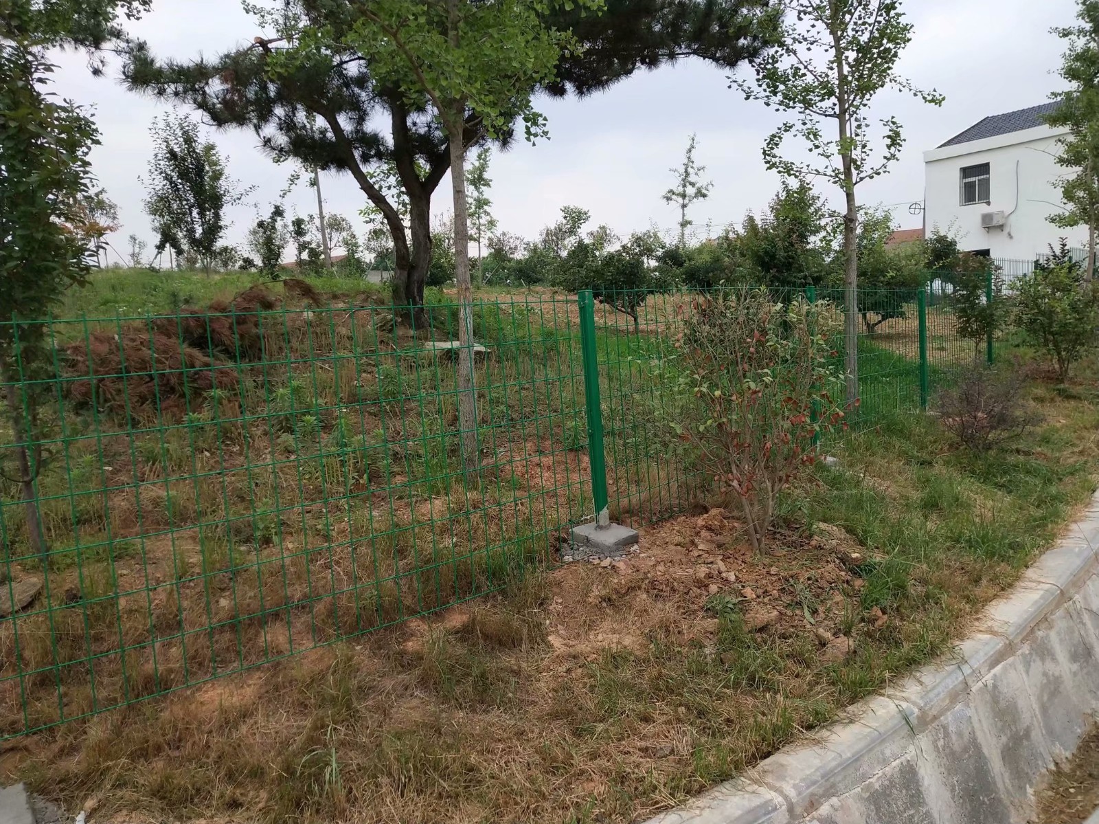 1536194853641299.jpg 1536194853641299.jpg